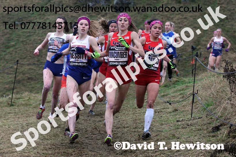 Senior womens Great Edinburgh Cross Country. Photo: David T. Hewitson/Sports for All Pics